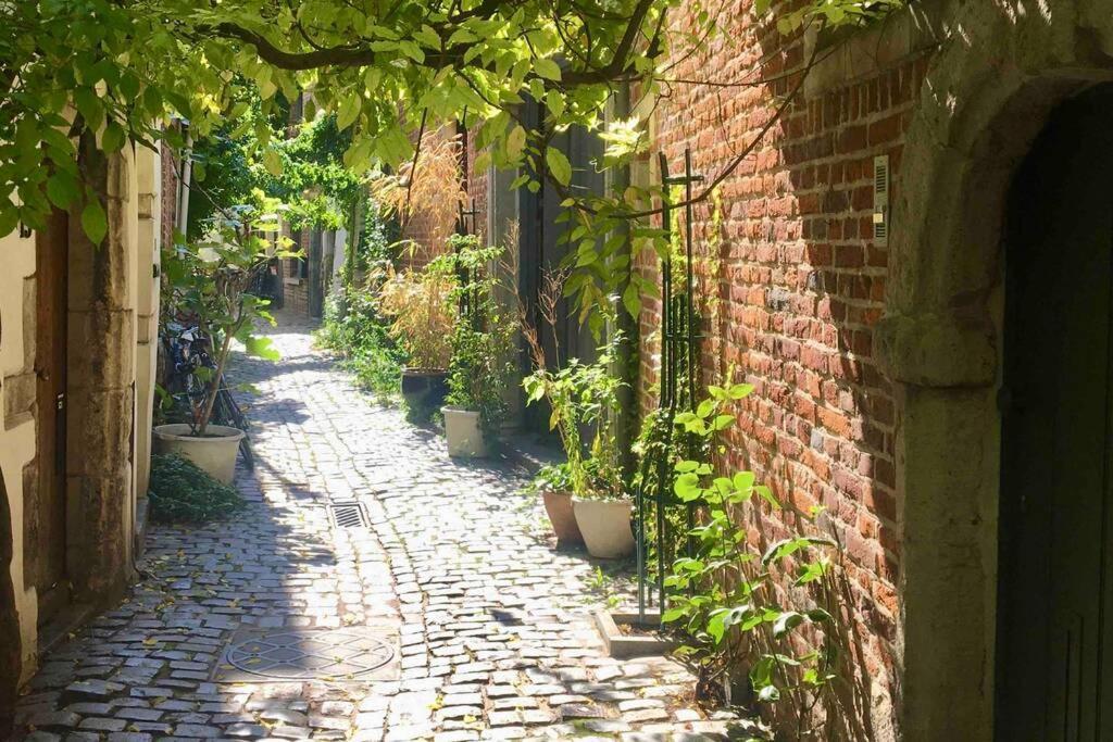 En Plein Coeur De Bruxelles. Superbe Duplex.A Voir! Zewnętrze zdjęcie