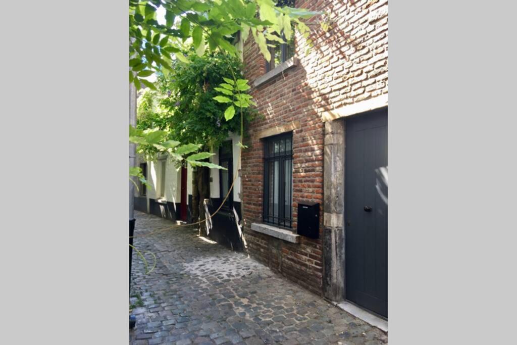 En Plein Coeur De Bruxelles. Superbe Duplex.A Voir! Zewnętrze zdjęcie